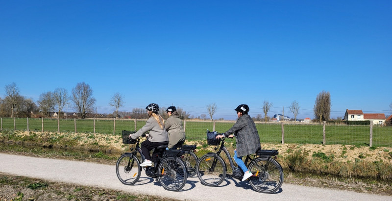 Bicycle Rental