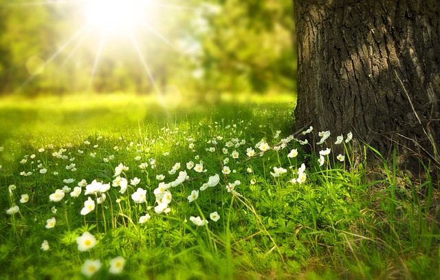 Bien Etre, Nature et Balade