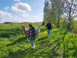 rencontre-avec-lamas-et-alpagas-pitgam-12975