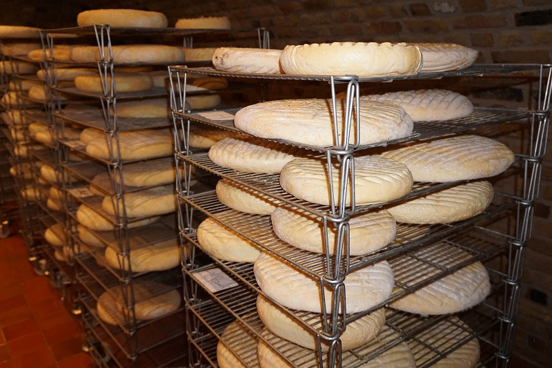 42-ferme-top-pitgam-12722 42-ferme-top-pitgam-12722