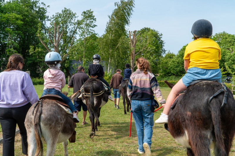 Ane-flanerie-esquelbecq-cchf-13192 Ane-flanerie-esquelbecq-cchf-13192