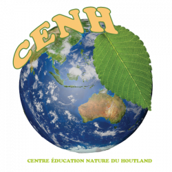 cenh-logo-12773