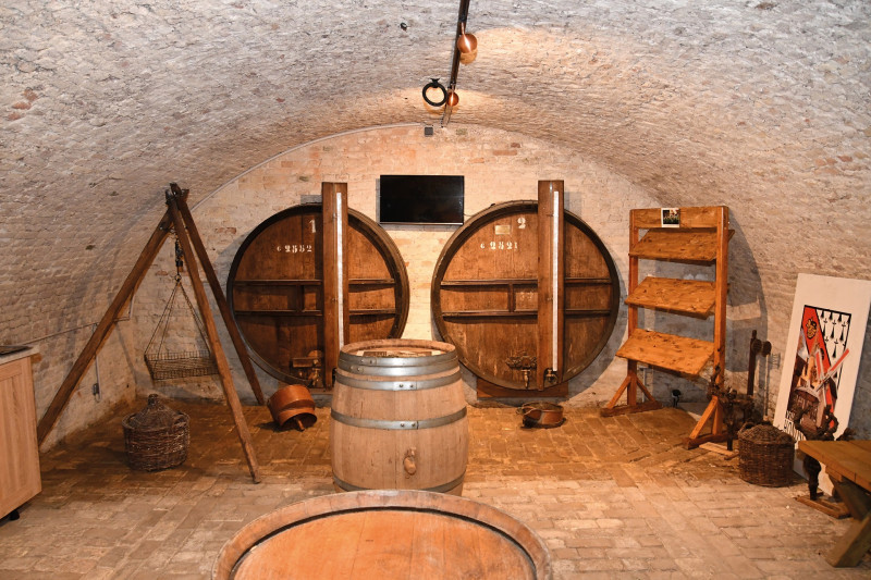 confrerie-vin-de-flandre Hondschoote Musee des vendanges