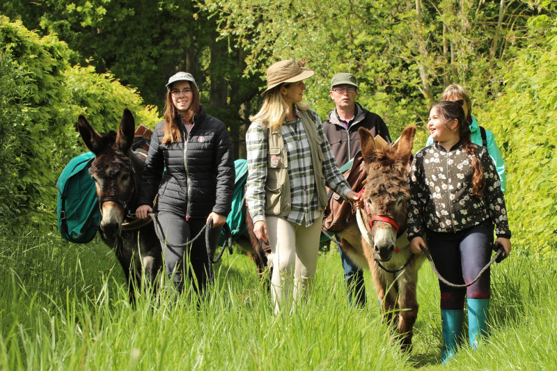 flanerie-d-esq-caroline-vandekerkove-12603 flanerie-d-esq-caroline-vandekerkove-12603