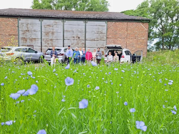 mardi-du-lin-grenier-du-lin-hondschoote