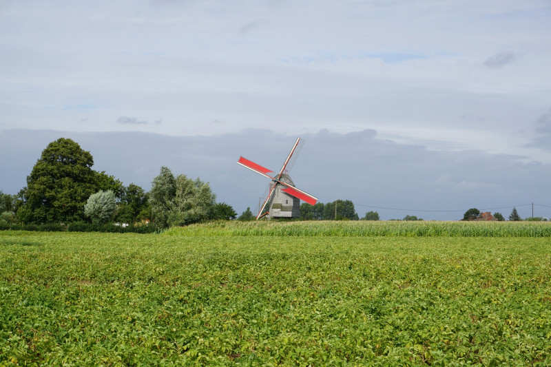 moulin-deschodt-wormhout-light-11-08-2016-12455