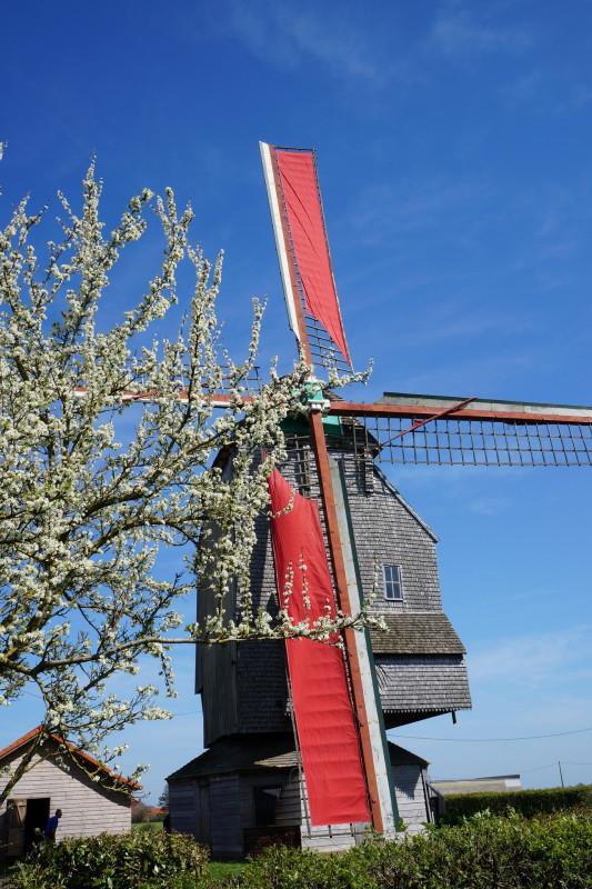 moulin-deschodt-wormhout-light-12454