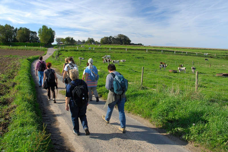 randonneurs-en-campagne