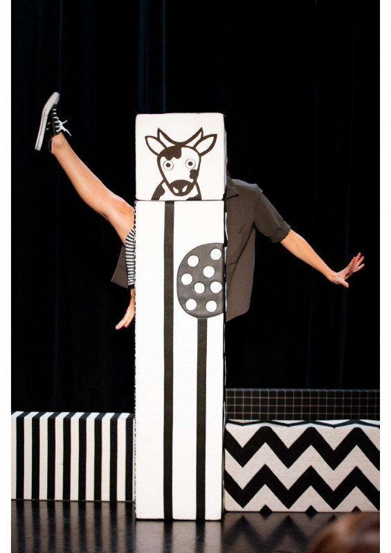 zebro-14-kalimba-page-0001-13229